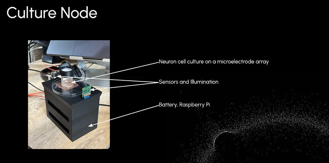 HiveMind Culture Node diagram