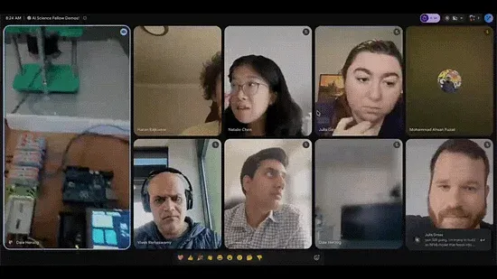 Fellows and mentors meeting virtually