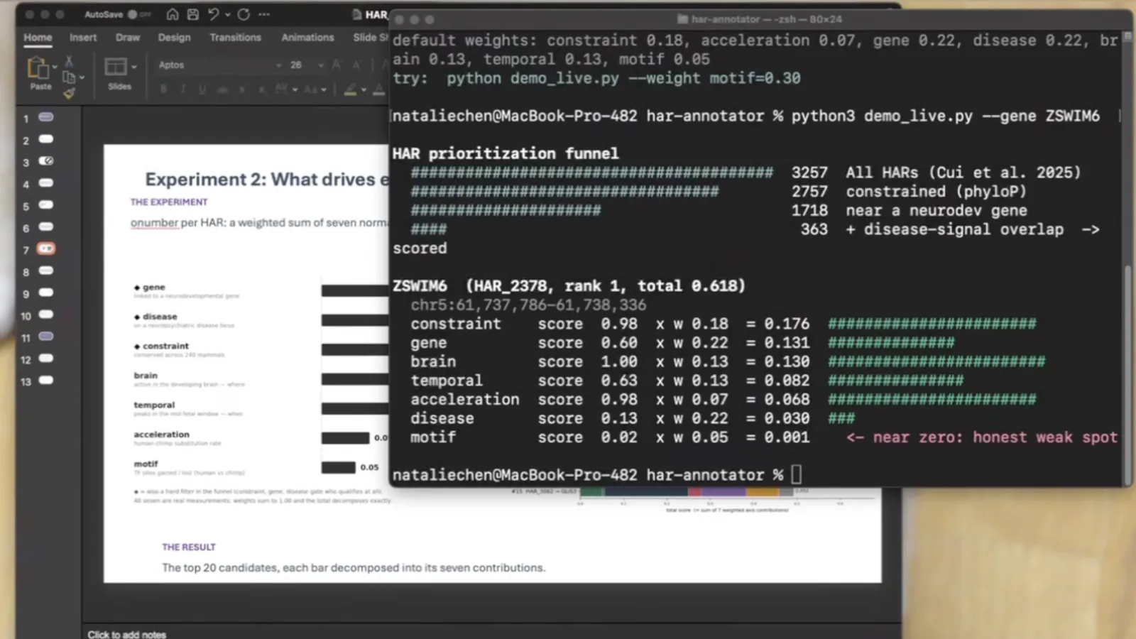A fellow demoing their project on a sprint call